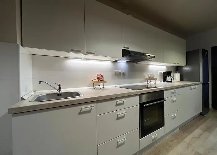 迪克公寓 * 波雷奇